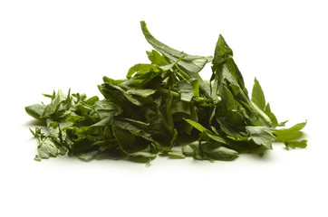 Petroselinum sativum Hoffm