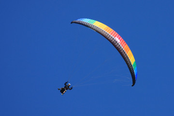 paraglider