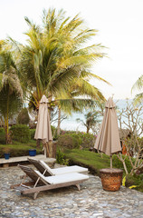 Fototapeta premium Green tropical garden