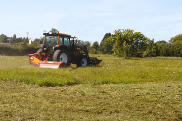 tractor mows the lawn