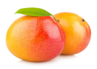 mango fruits isolated on white background