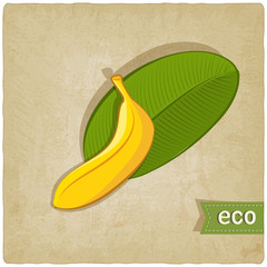 fruit eco old background