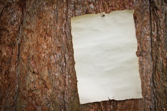 paper nailed to a tree