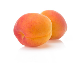 apricot on white background