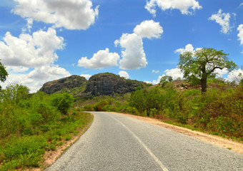 Fototapeta na wymiar The fantastic nature of Mozambique. The road. Africa, Mozambique