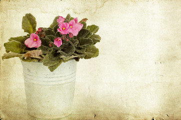 Vintage photo of flowers in a bucket