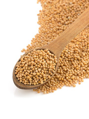 mustard spices and spoon on white