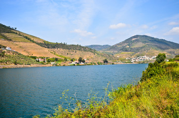Flusslandschaft Rio Douro Weinberge bei Pinhao Portugal
