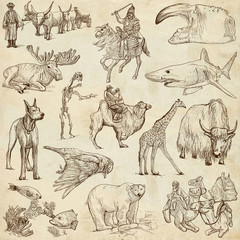 Animals around the world (paper set no. 8) - hand drawn