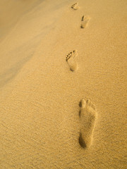 Footprint at the beach