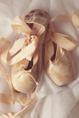 Posed Pointe Shoes in Natural Light