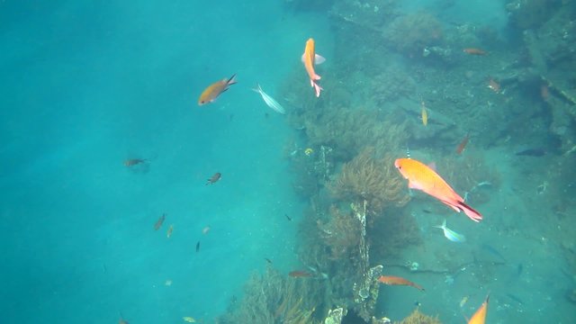 Underwater