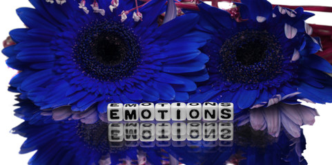 Emotions message with two blue flowers