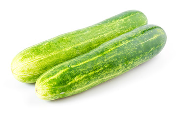 Cucumber