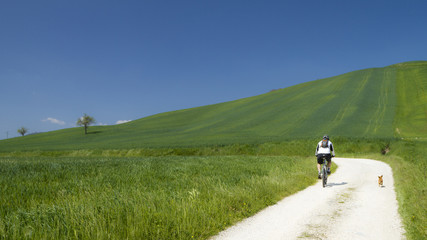 Fototapeta na wymiar cyclist on green countryside wit his dog