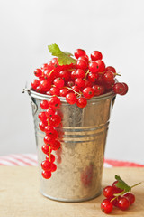 Red Currants