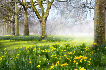 Kunst lentebloemen in het Engelse park