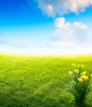 Abstract natural backgrounds with beauty bokeh