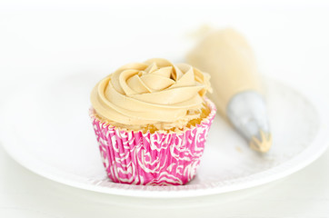 Several cupcakes on white background