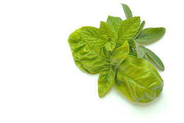 Herbs