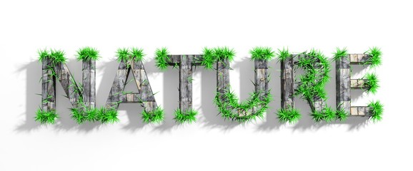 Wooden Nature word with green grass growth isolated