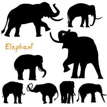 silhouette of elephant vector