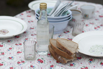 Obraz na płótnie Canvas Bottle of vodka, fresh bread and plates