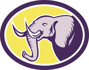 Elephant Head Side Oval