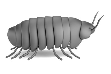 realistic 3d render of pillbug