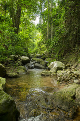 Naklejka na ściany i meble Krok I Dok waterfall in the Khao Yai National Park, Forest World heritage