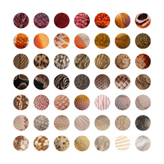 Collection of Animal skins