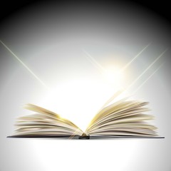 the open book