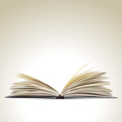 the open book