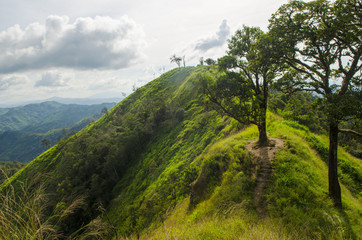 Obraz premium Sun over the ridge. Summer landscape in the mountains