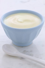 Fresh plain yogurt