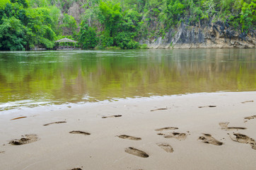 Stream in the tropical forest.