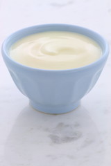 Fresh plain yogurt