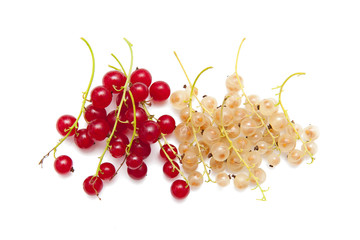 Currants