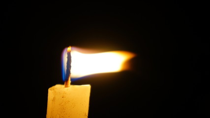 Vela