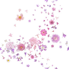 Obraz na płótnie Canvas Pink Blossom Flower Buds Breeze