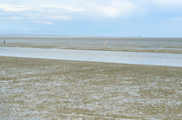 The vast muddy beach in Thailand.