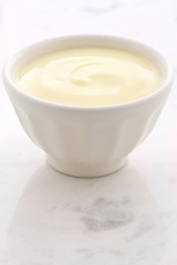 Fresh plain yogurt
