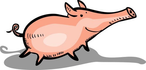 Funny pink pig
