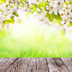 Naklejka na ściany i meble Spring background with free space for text