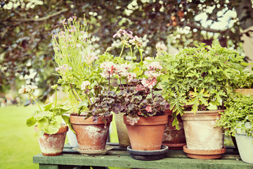 Garden pots