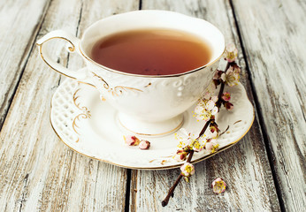 cup of tea with flowering branches apricots