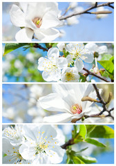 spring banners