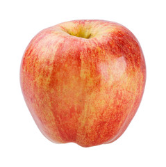 Gala Apple