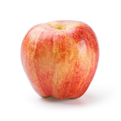 Gala Apple