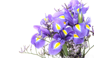 Lila Blumenstrau&szlig;